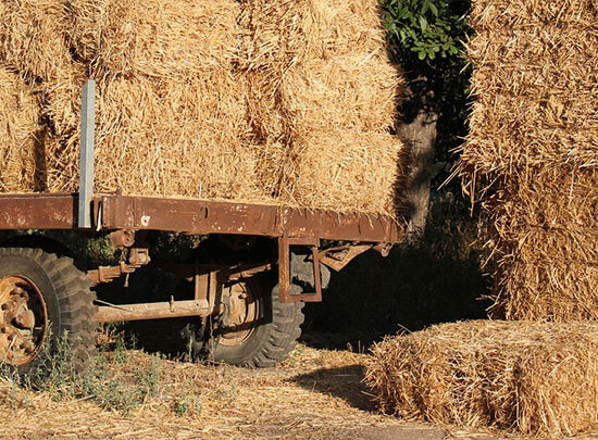 Straw Mulch in Fall by walts organic fertilizers