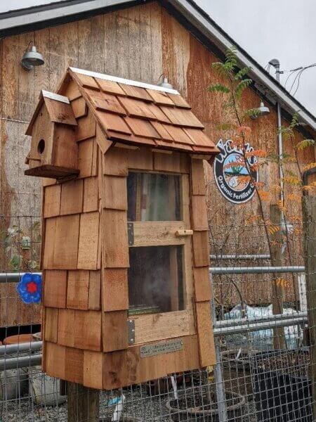 cedar wood plank free library house with small bird house